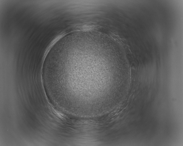 X0000058770147200510031055