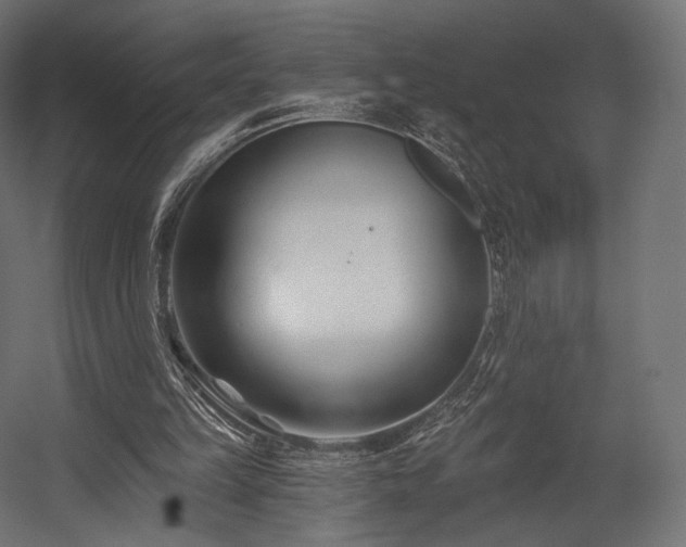 X0000058770149200510031055