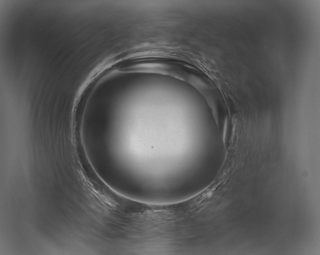 X0000058770150200510031055