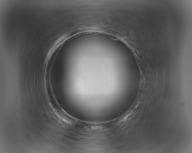 X0000058770151200510031055