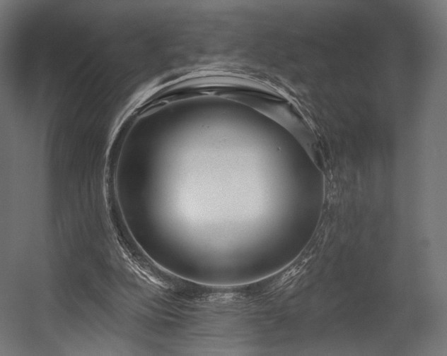 X0000058770152200510031055