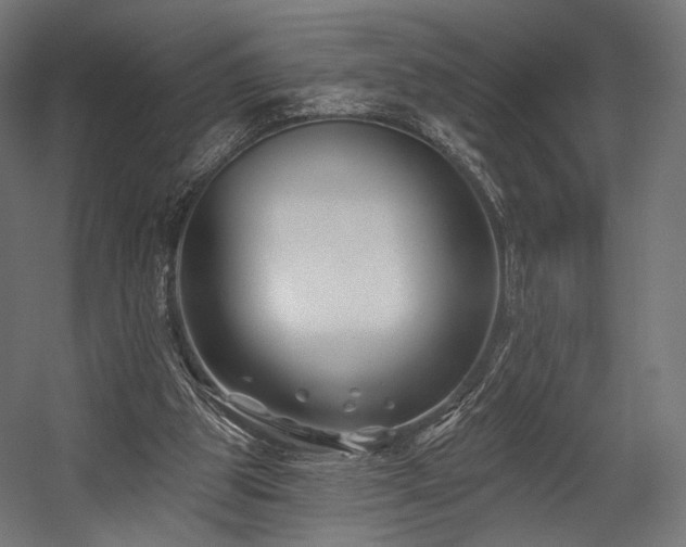 X0000058770153200510031055