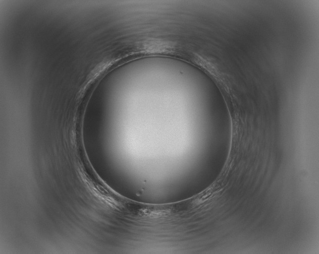 X0000058770155200510031055