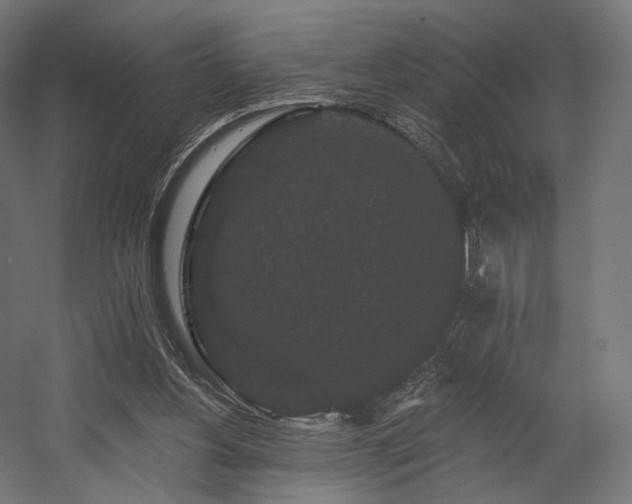 X0000058770156200510031055