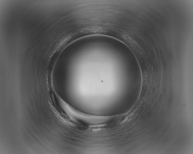 X0000058770158200510031055