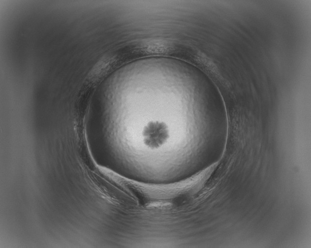 X0000058770161200510031055