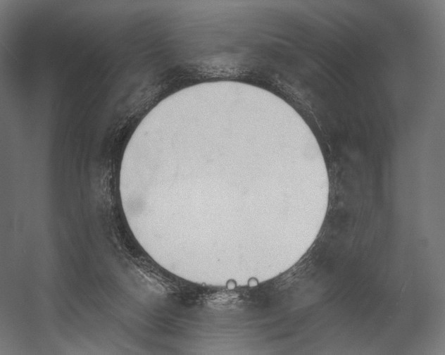 X0000058770162200510031055