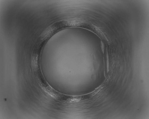 X0000058770163200510031055