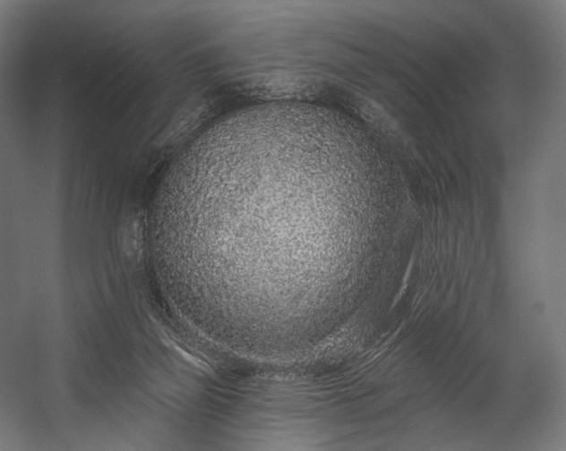 X0000058770165200510031055