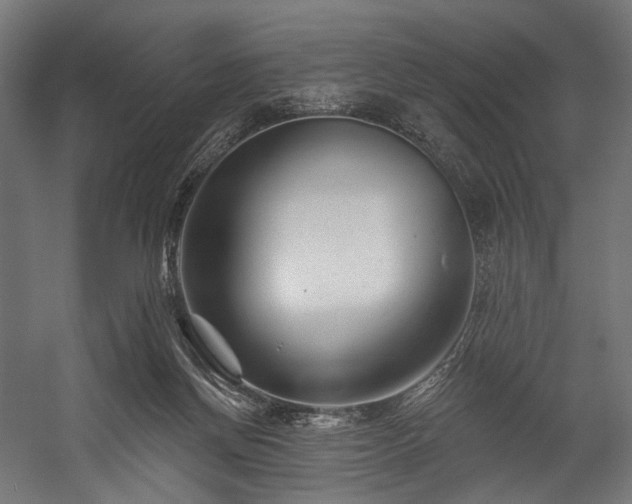 X0000058770166200510031055
