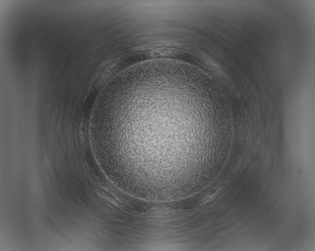 X0000058770169200510031055