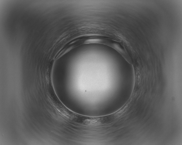 X0000058770170200510031055