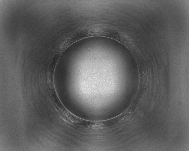 X0000058770173200510031055