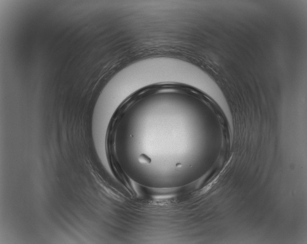 X0000058770175200510031055