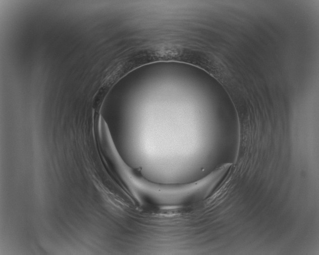 X0000058770176200510031055