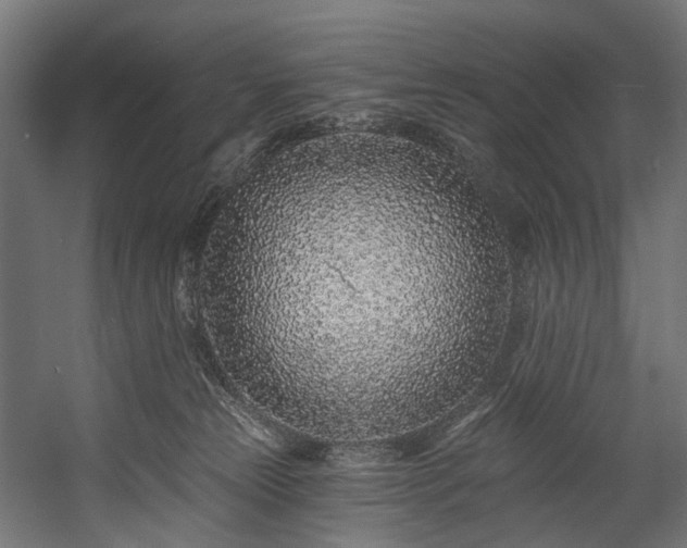 X0000058770181200510031055