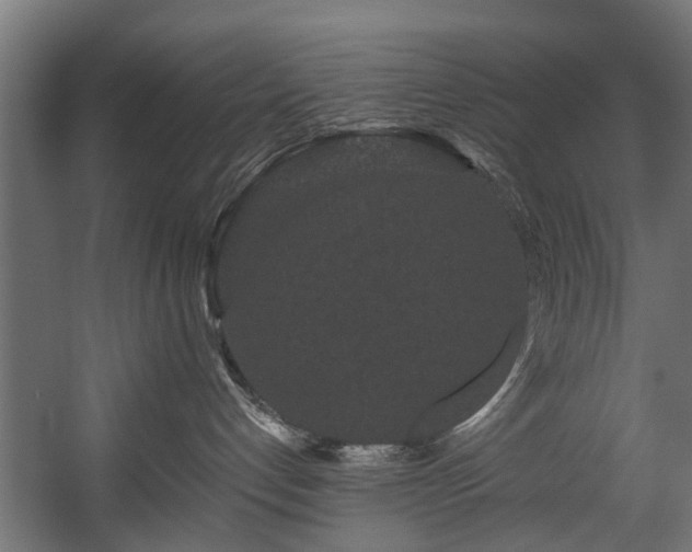 X0000058770192200510031055