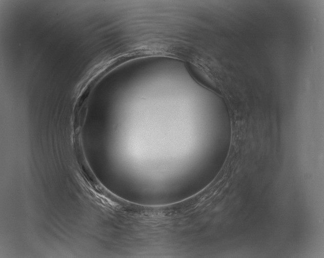 X0000058770194200510031055