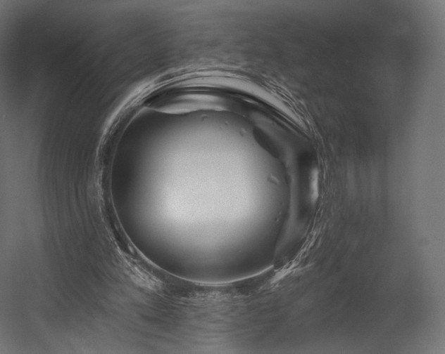 X0000058770197200510031055