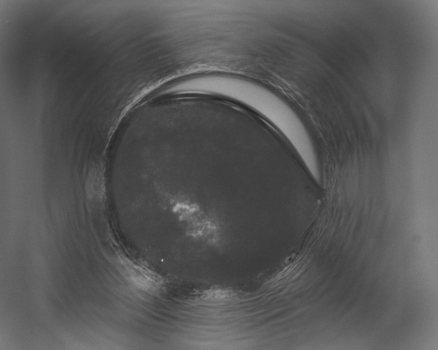 X0000058770204200510031054