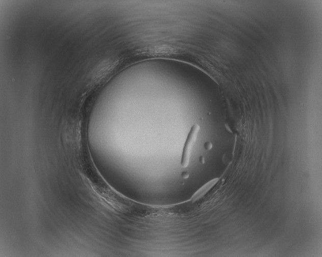 X0000058770206200510031054