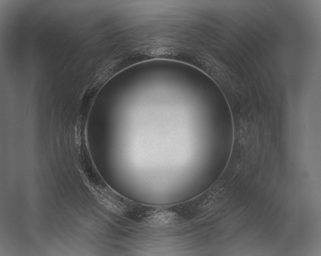 X0000058770210200510031054