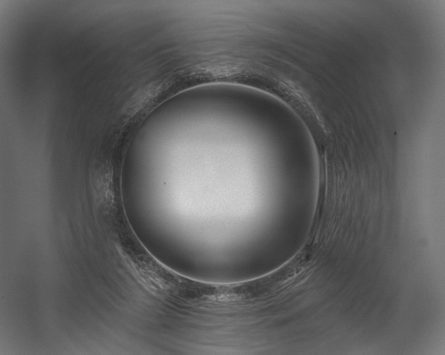 X0000058770212200510031054