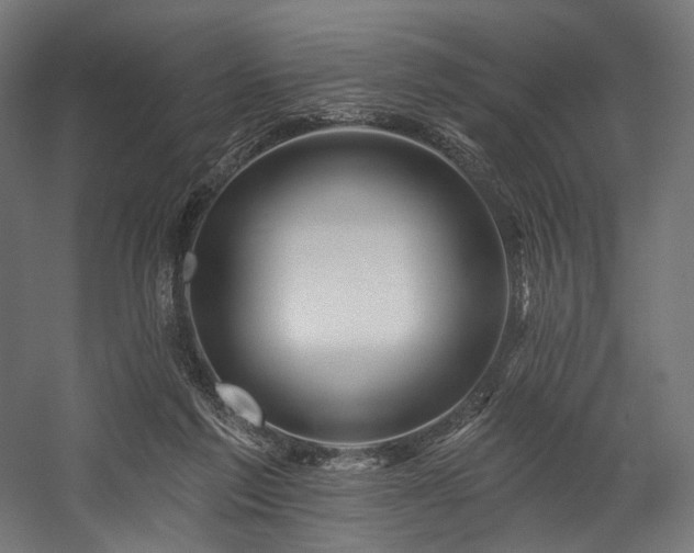 X0000058770213200510031054