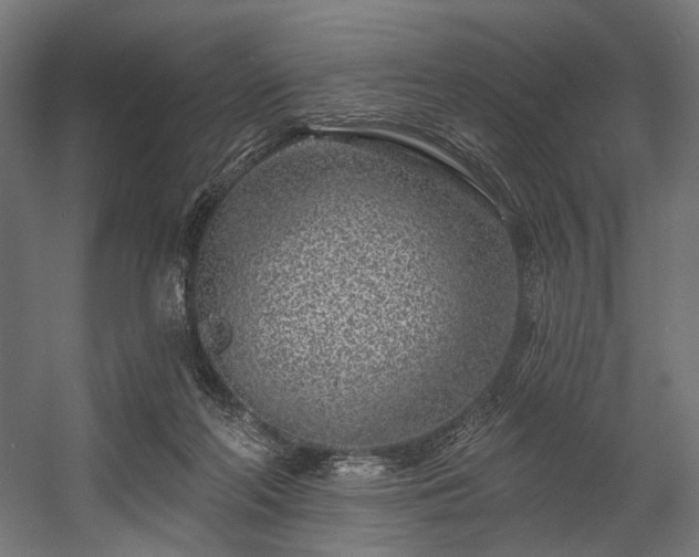 X0000058770214200510031054