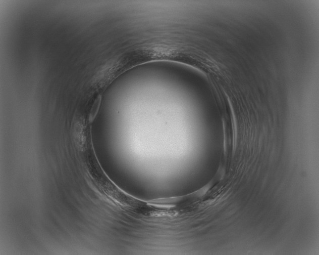 X0000058770215200510031054