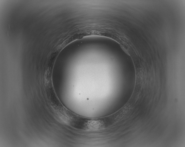 X0000058770218200510031054
