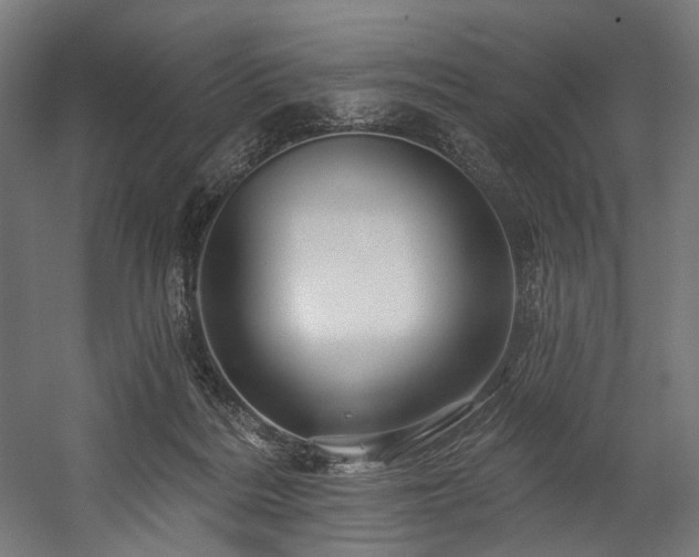 X0000058770220200510031054