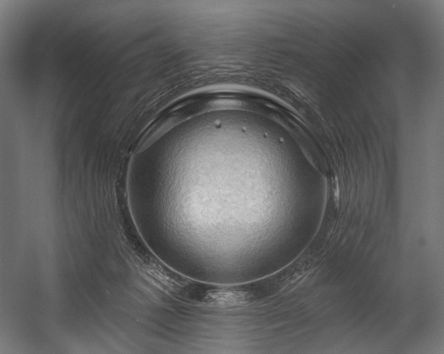 X0000058770221200510031054