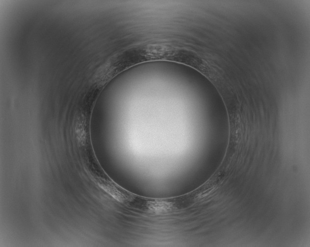 X0000058770226200510031054