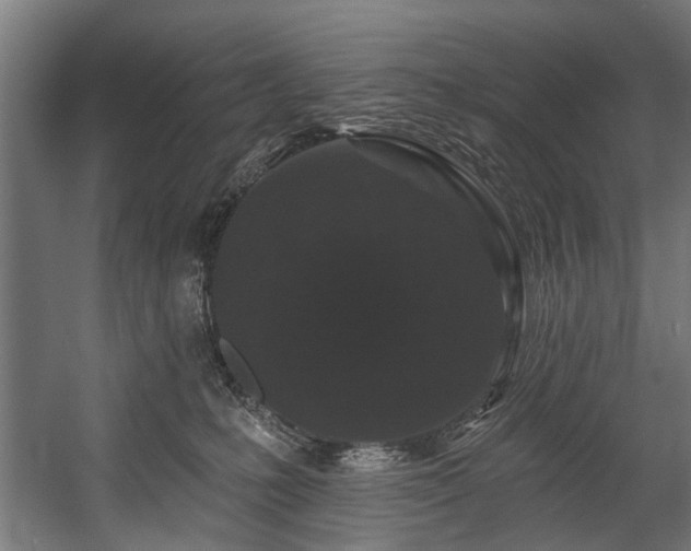 X0000058770231200510031054