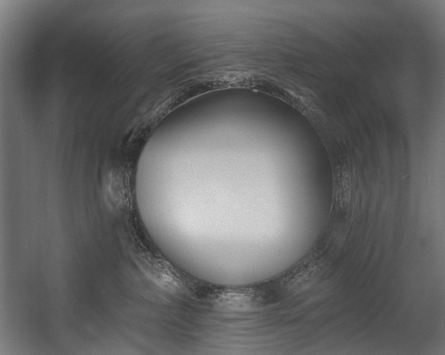 X0000058770236200510031054
