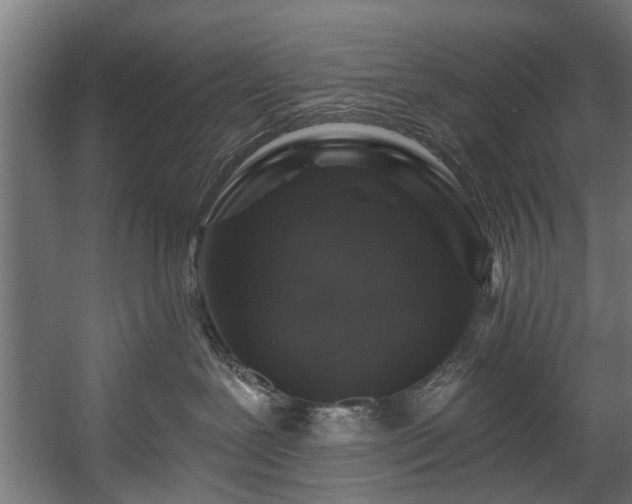 X0000058770239200510031054