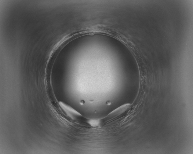 X0000058770248200510031053