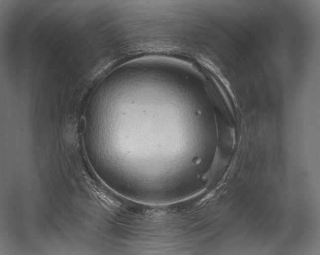 X0000058770249200510031053