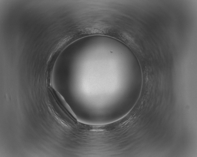 X0000058770250200510031053