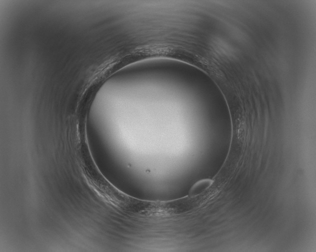 X0000058770254200510031053