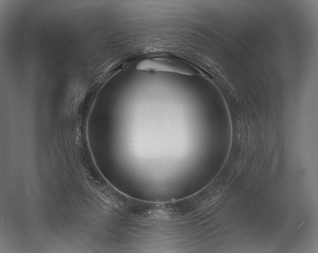 X0000058770259200510031053