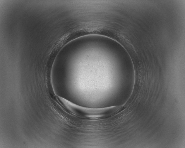 X0000058770260200510031053