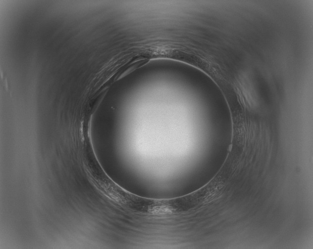 X0000058770262200510031053