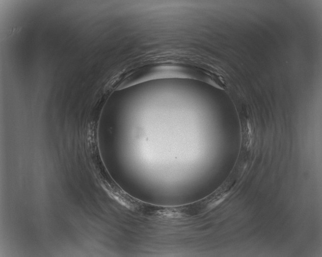 X0000058770284200510031054