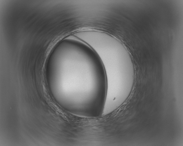 X0000058770289200510031053