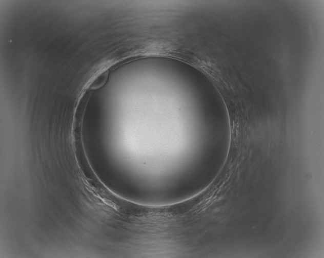 X0000058770292200510031053