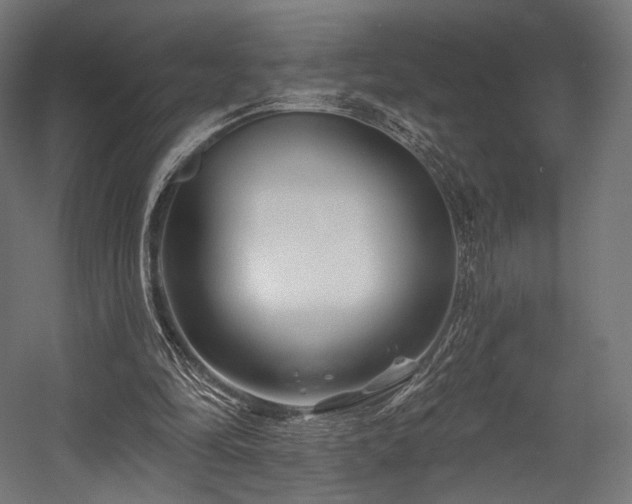 X0000058770294200510031053