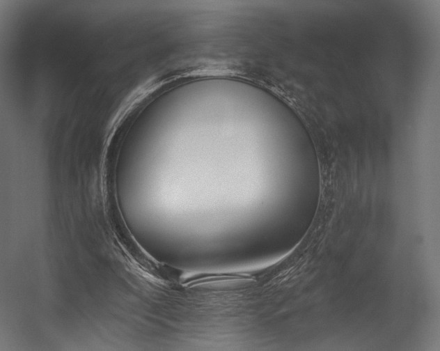 X0000058770296200510031053