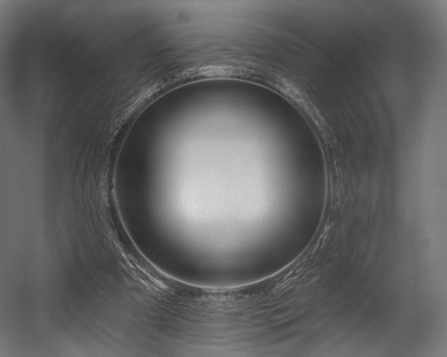 X0000058770297200510031053